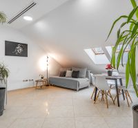 I Exkluzívny penthouse s terasou v absolútnom centre mesta - Svetlá obývacia izba s rastlinami a strešnými oknami v 2-izbovom byte.
