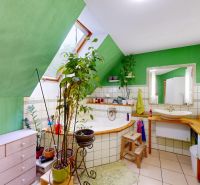 Rodinný dom 240 m², 3 bytové jednotky, veľký pozemok, Lamač - Kúpeľňa v rodinnom dome so zelenými stenami, vaňou, umývadlom a rastlinami.