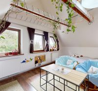 Rodinný dom 240 m², 3 bytové jednotky, veľký pozemok, Lamač - Izba v rodinnom dome s podlahou s dreveným dekorom, rastlinami a manekýnom.
