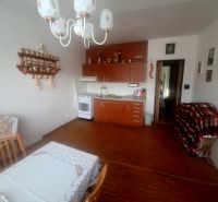 Slnečný 1-izbový byt  na predaj, 42 m2,  J. Gagarina, Zvolen - Kuchyňa v 1-izbovom byte s dreveným dekorom a rustikálnym zariadením.