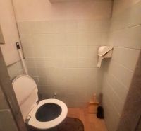 Slnečný 1-izbový byt  na predaj, 42 m2,  J. Gagarina, Zvolen - Toaleta s policou a podlahou s dreveným dekorom v 1-izbovom byte.