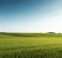 Medzany – 1.793 m2 POĽNOHOSPODÁRSKA pôda – Predaj - Zelené polia a jemné kopce v Poľnohospodárskych a lesných pozemkoch pri Medzanoch.