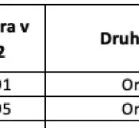 Medzany – 1.793 m2 POĽNOHOSPODÁRSKA pôda – Predaj  - Tabuľka zobrazuje údaje o ornej pôde s podielom 24/48 v Medzanoch.