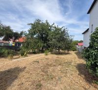 3 izbový Rodinný dom v Cabaj-Čápore s pozemkom 1 053 m² - Záhrada pri rodinnom dome v Cabaji-Čápore s ovocnými stromami a trávnatou plochou.