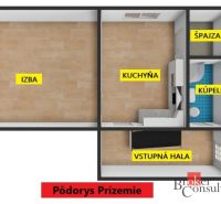 NA PRENÁJOM: 2-izbový byt v rodinnom dome s parkovaním – SNV - Pôdorys 2-izbového bytu s podlahou s dreveným dekorom, zahŕňa izbu, kuchyňu a kúpeľňu.