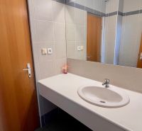 Prenájom kancelárskych priestorov  Drieňová ul., 209 m2 - 600 m2 - Kúpeľňa s umývadlom, zrkadlom a drevenými dverami v kancelárii.