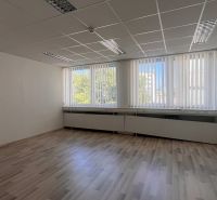Prenájom kancelárskych priestorov  Drieňová ul., 209 m2 - 600 m2 - Kancelária s podlahou s dreveným dekorom a veľkými oknami, svetlé prostredie.