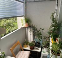 NA PREDAJ PRIESTRANNÝ 3-IZBOVÝ BYT | 67 m² | LODŽIA | 4. POSCHODIE - Zátišie balkóna 3-izbového bytu s rastlinami a drevenou stoličkou.