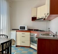 I PREDAJ 2-IZBOVÝ BYT S KLIMATIZÁCIOU A BALKÓNOM I RUŽINOV - Kuchyňa v 2-izbovom byte s mikrovlnkou, sporákom a jedálenským stolom.