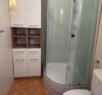 Predám 1 izbový byt pri Draždiaku v Petržalke - Kúpeľňa v 1-izbovom byte s rohovým sprchovým kútom a skrinkami.
