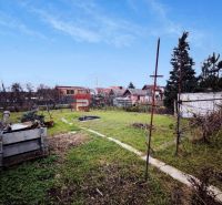 Veľkorysý rodinný dom s garážou | Piešťany - Záhrada pri rodinnom dome na Sadovej ulici v Piešťanoch s rozličnou vegetáciou a stavbami.