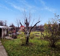 Veľkorysý rodinný dom s garážou | Piešťany - Záhrada rodinného domu na Sadovej ulici v Piešťanoch so stromami a trávnikom.