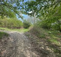 Rekreačný pozemok 1 701 m² v atraktívnej lokalite Častá – Píla - Lesná cesta obklopená hustou zeleňou v záhradách pri Častej.