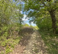 Rekreačný pozemok 1 701 m² v atraktívnej lokalite Častá – Píla - Prírodná cesta v lese so zeleňou a modrou oblohou v Častej záhradách.