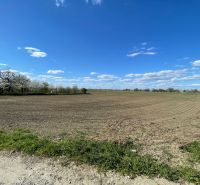 Atraktívny stavebný pozemok v Košútoch, 2470 m2, výhodná cena - Rozľahlá parcela na výstavbu v Košútoch, Košúty, vhodná pre pozemky - bývanie.