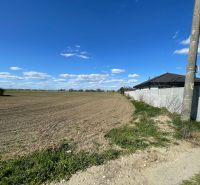 Atraktívny stavebný pozemok v Košútoch, 2470 m2, výhodná cena - Pozemky - bývanie v Košútoch na ulici Košúty, vedľa oranej pôdy a oploteného domu.