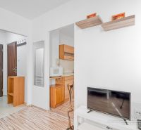 PRENAJATÉ 1-izbový byt so spacím kútom na Okružnej ulici v Trnave - Interiér 1-izbového bytu s podlahou s dreveným dekorom a svetlým nábytkom.