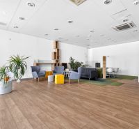 Obchodné priestory na námestí Topoľčany  PRENÁJOM - Obchodné priestory s kreslami, rastlinami a podlahou s dreveným dekorom, ponúkajúce pohodlné sedenie.