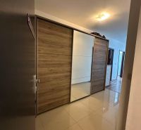 Na prenájom luxusný 3 izb. byt s garážou v Panorama City, Staré Mesto. - Chodba so vstavanou skriňou s posuvnými dverami a podlahou s dreveným dekorom.