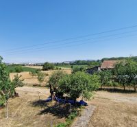 Na predaj dvojpodlažný rodinný dom v obci Kazimír, okres Trebišov - Krajina v okolí rodinného domu na ulici Biela v Kazimíri s ovocnými stromami.