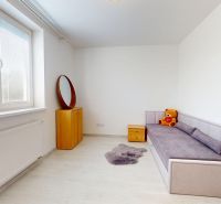 Moderný 3-izbový byt s veľkou terasou, garážou a nízkymi mesačnými nák - Izba v 3-izbovom byte s pohovkou, kresielkom a rastlinou na podlahe s dreveným dekorom.