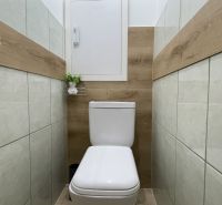 Prenájom 2-izbový byt s balkónom Martin – Podháj (41m2) - Toaleta s podlahou s dreveným dekorom v 2-izbovom byte, dekoratívna rastlina, polička.