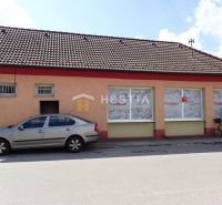 Podnikateľský objekt s pozemkom na predaj Borský Mikuláš - Rodinný dom v Borskom Mikuláši má tehlovú fasádu, vedľa je zaparkované auto.