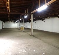 Hala na prenájom 600 m2 – priemyselná zóna - Výrobné priestory s trámovým stropom a betónovou podlahou vhodné pre rôzne účely.