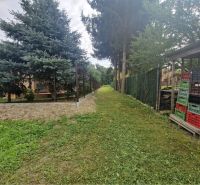 Predaj pozemku na bývanie, Dunajská Streda - Záhrada s ihličnatými stromami a plotom v Gabčíkove, ideálna pre pozemky - bývanie.