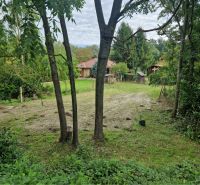 Predaj pozemku na bývanie, Dunajská Streda - Pozemky - bývanie v Gabčíkove obklopené stromami a trávnatým pozemkom.