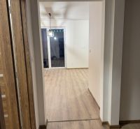 ‼️‼️znížená cena‼️‼️Awreal ponúka na predaj 4izbový bungalov v Hornom  - Chodba v rodinnom dome s podlahou s dreveným dekorom a drevenými dverami.