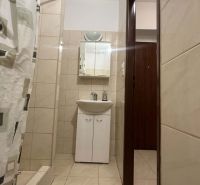 ☎️ 0918197701 Na prenájom  zariadený 1 izbový byt  na sídlisku západ n - Kúpeľňa v 1-izbovom byte s umývadlom, sprchovým kútom a dlažbou.