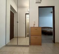 ☎️ 0918197701 Na prenájom  zariadený 1 izbový byt  na sídlisku západ n - Zrkadlová skriňa a komoda v predsieni vedúce do spálne s podlahou s dreveným dekorom.
