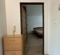 ☎️ 0918197701 Na prenájom  zariadený 1 izbový byt  na sídlisku západ n - Vstupná chodba do izby s podlahou s dreveným dekorom v 1-izbovom byte.