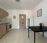☎️ 0918197701 Na prenájom  zariadený 1 izbový byt  na sídlisku západ n - Kuchyňa v 1-izbovom byte s podlahou s dreveným dekorom, jedálenským stolom a kvetinovou dekoráciou.