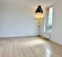 Na predaj novostavba 3 izbový byt, Bratislava, Nový Ružinov, Bajkalská - Obývacia izba v 3-izbovom byte s podlahou s dreveným dekorom a veľkým oknom.