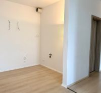 Na predaj novostavba 3 izbový byt, Bratislava, Nový Ružinov, Bajkalská - Interiér 3-izbového bytu s podlahou s dreveným dekorom a bielymi stenami.
