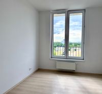 Na predaj novostavba 3 izbový byt, Bratislava, Nový Ružinov, Bajkalská - Izba s podlahou s dreveným dekorom a veľkým oknom v 3-izbovom byte.