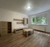 PRENÁJOM, 2 izb. byt na Považskej ulici, Košice - Západ - Obývacia izba v 2-izbovom byte s podlahou s dreveným dekorom a nábytkom.
