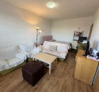 Na predaj: Veľký 2 izb.byt + LOGGIA + ŠPAJZA + PIVNICA - Obývacia izba 2-izbového bytu s podlahou s dreveným dekorom, pohovkou a posteľou.