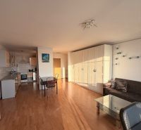 4-izbový byt, Bratislava/Nové Mesto, ulica Nová Rožňavská - Obývacia izba 4-izbového bytu s kuchyňou a podlahou s dreveným dekorom.