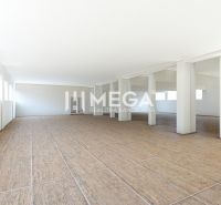 Prenájom obchodných priestorov v meste Humenné - Priestranné obchodné priestory s podlahou s dreveným dekorom a bielymi stenami.
