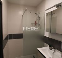 NA PREDAJ - 2 iz. byt s balkónom blízko centra mesta Humenné - Kúpeľňa s walk-in sprchovým kútom a dreveným dekorom v 2-izbovom byte.