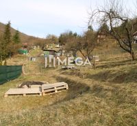 NA PREDAJ pozemok 800m2 v ZO Poniklec pri meste Humenné - Záhrady na ulici ZO Poniklec v Humennom s viacerými stromami a drevenými paletami.
