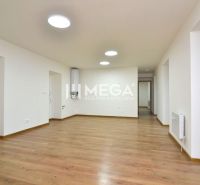 PREDAJ MODERNE ZREKONŠTRUOVANÝCH BYTOV V STRÁŽSKOM (BYT E) - Obývacia izba v 2-izbovom byte s podlahou s dreveným dekorom a bielymi stenami.