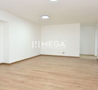 PREDAJ MODERNE ZREKONŠTRUOVANÝCH BYTOV V STRÁŽSKOM (BYT G) - Priestranná miestnosť s podlahou s dreveným dekorom v 2-izbovom byte.