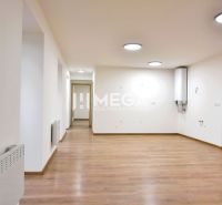 PREDAJ MODERNE ZREKONŠTRUOVANÝCH BYTOV V STRÁŽSKOM (BYT G) - 2-izbový byt s podlahou s dreveným dekorom a svetlým interiérom.