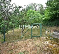 PREDAJ RODINNÉHO DOMU v HUMENNOM (Sídlisko Poľana) - Záhrada s trávou a stromami v Rodinnom dome na Sídlisku Poľana, Humenné.