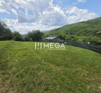 Záhrada na predaj – 365 m², Pichoňka, Snina - Záhrady so zeleným trávnikom v Snine na ulici Snina obklopené lesnatými kopcami.