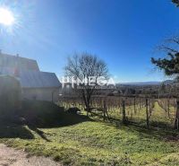 Na predaj chata s vinicou a 2 pivnicami, obec Viničky-Zajačí skok, okr - Slnečný deň v obci Viničky s rodinným domom a vinicou na ulici Viničky.